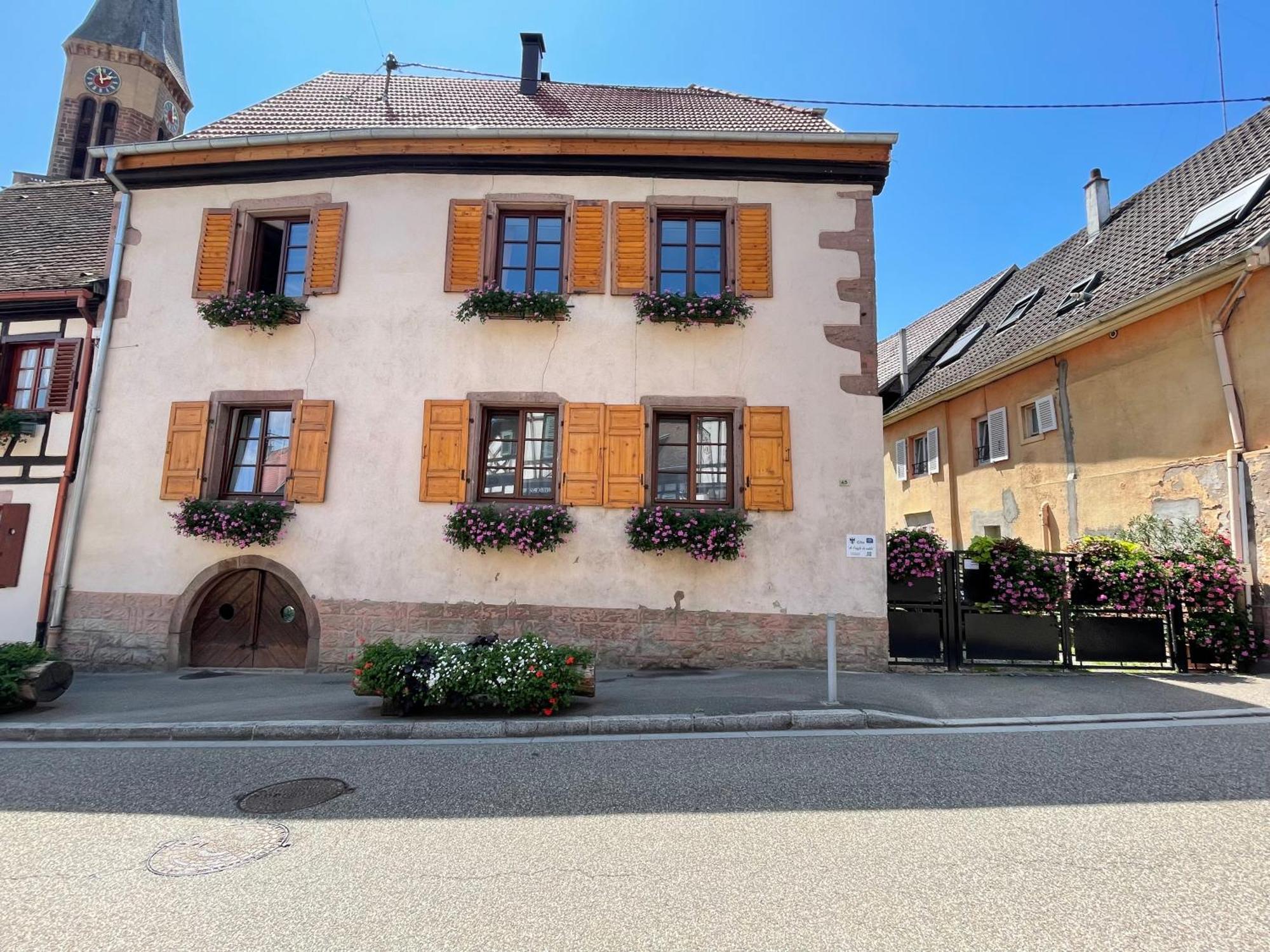 Gite A L'Aigle De Sable Kintzheim Exterior photo